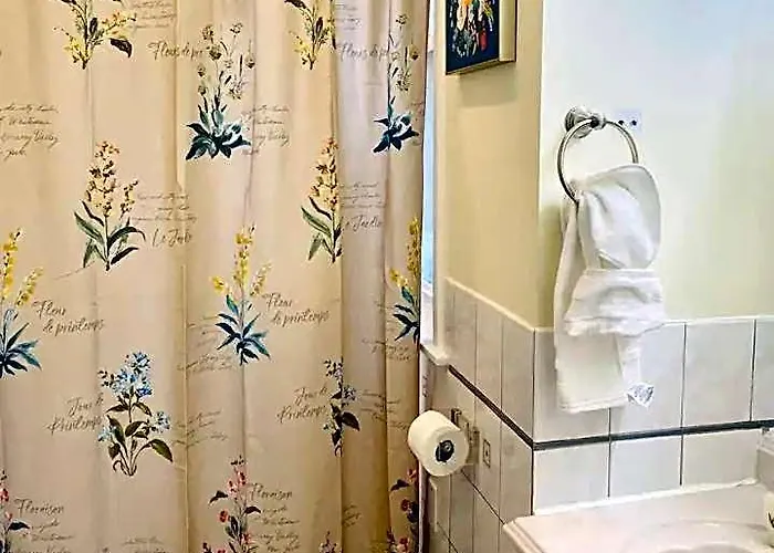 Lincoln Park 3 Bedroom Penthouse *